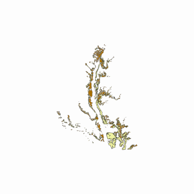 Export Image